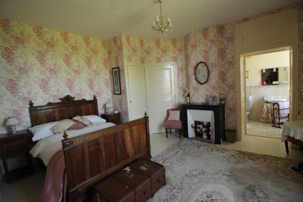 a bedroom with a bed and a fireplace at Manoir Angle in Blanzay-sur-Boutonne