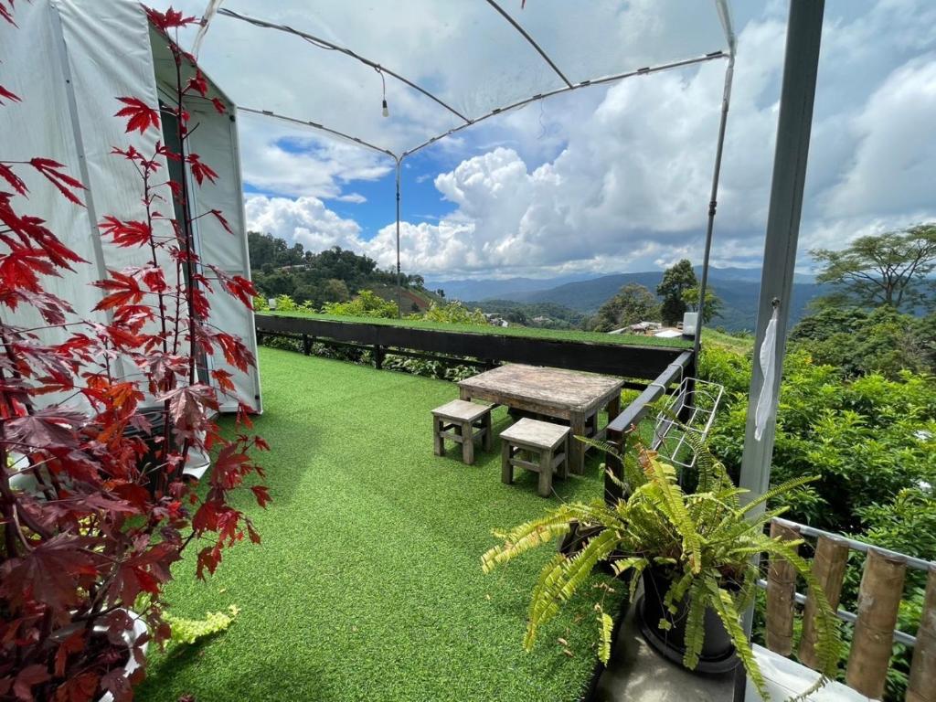 Phu Fahsai Homestay - Carpa