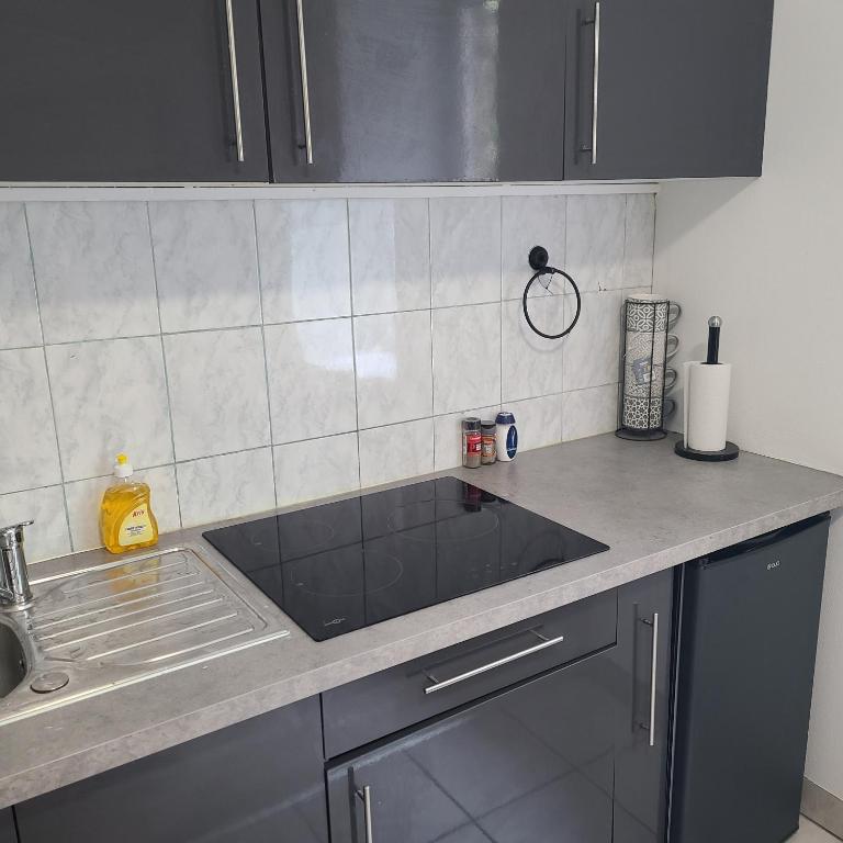 uma cozinha com um lavatório e uma bancada em Appartement Brest Saint Martin em Brest