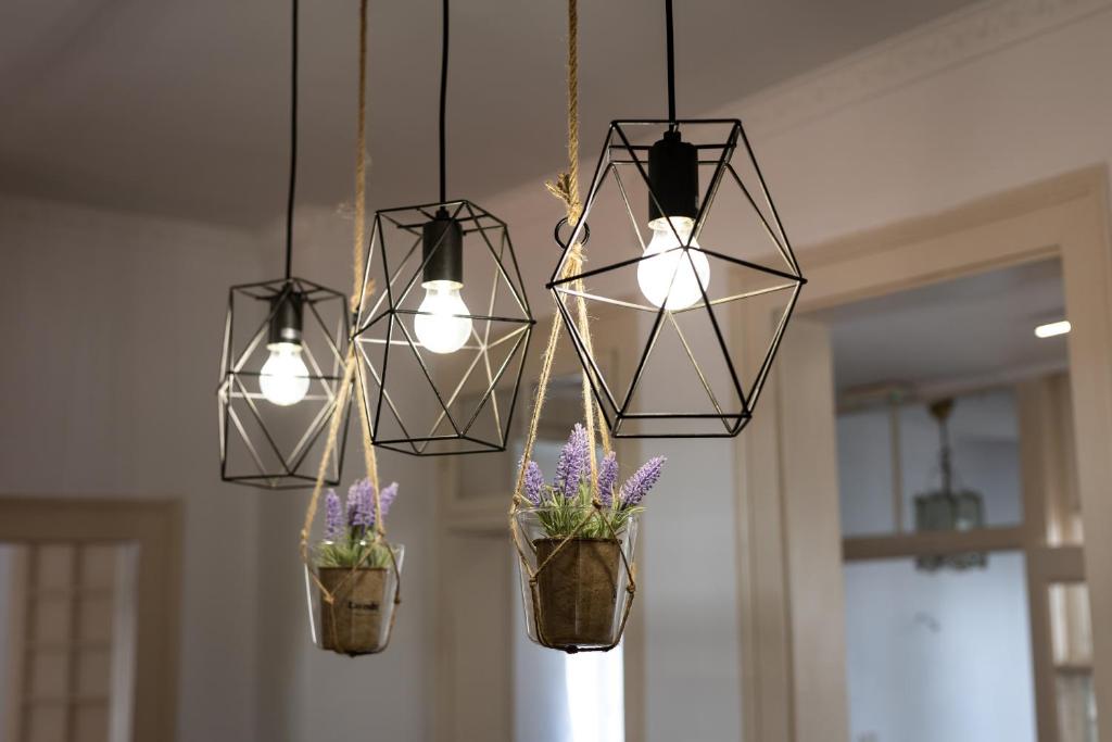 a group of lights hanging from a ceiling with flowers at Apeiron Acropolis Suites in Athens