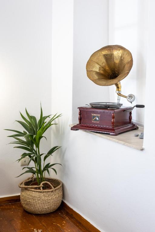 a plant sitting on a shelf next to a clock at Apeiron Acropolis Suites in Athens