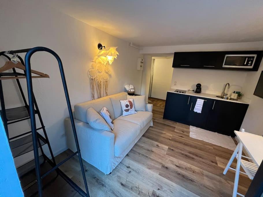 Photo de la galerie de l'établissement Studio Strasbourg avec jardin, à Strasbourg