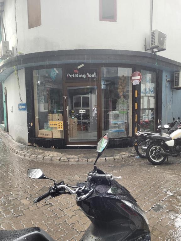 Fotografie z fotogalerie ubytování Ontrack Travel v Male City