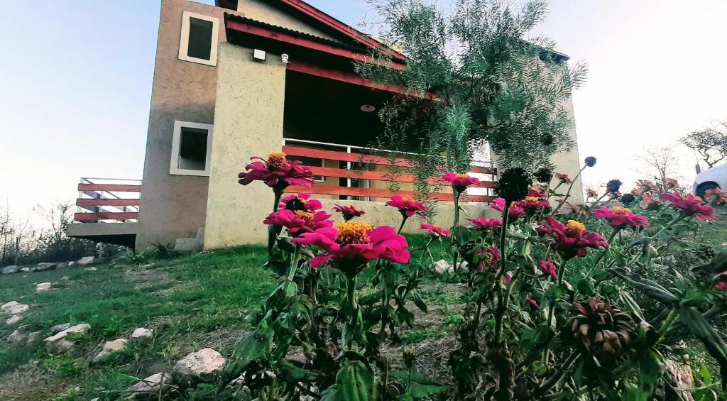 Zahrada ubytování Terrazas de Nahuascat