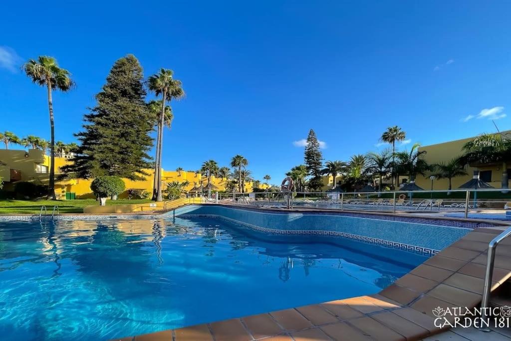 ein Swimmingpool in einem Resort mit Palmen in der Unterkunft B-Rent Atlantic Garden 181 in Corralejo