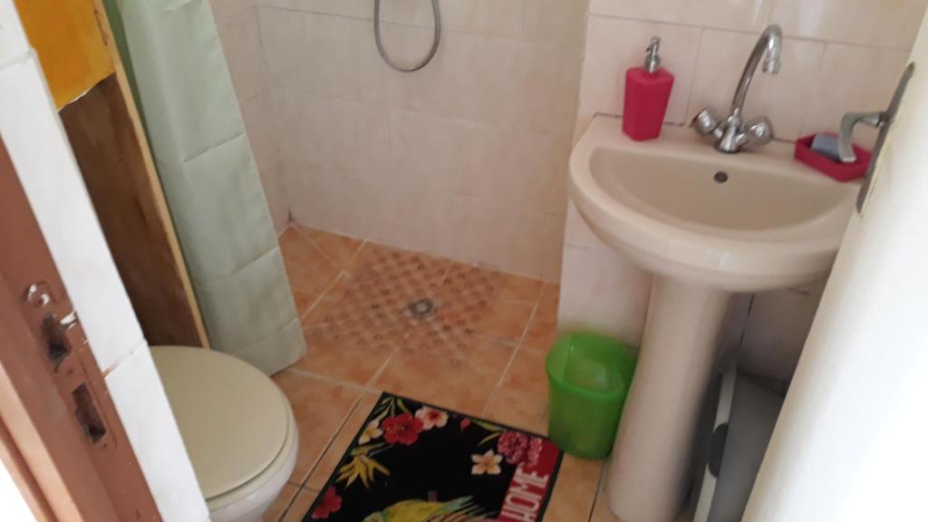 un piccolo bagno con un water e un lavandino di GITE LE FILAO a Le Lorrain