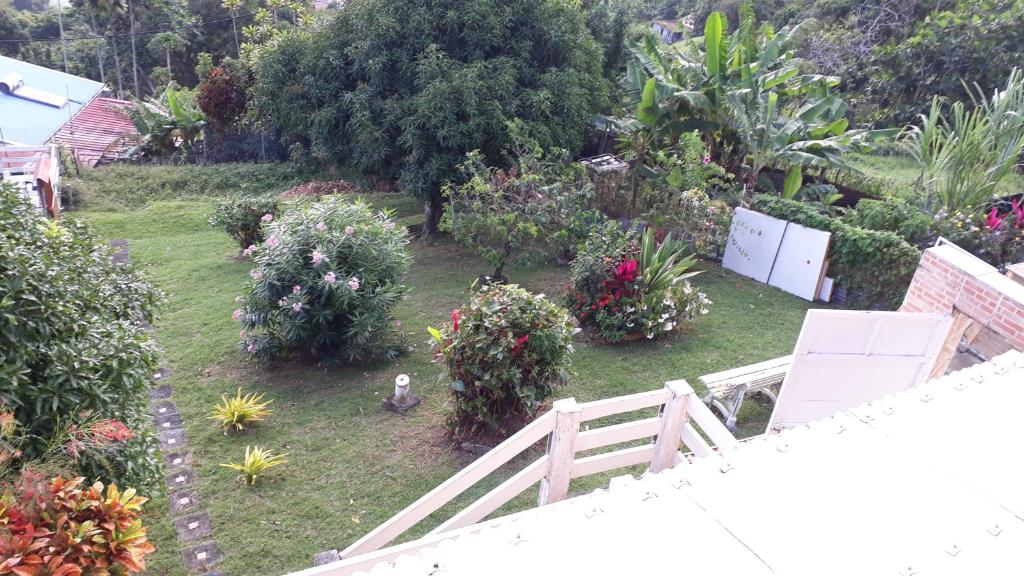 Giardino di GITE LE FILAO