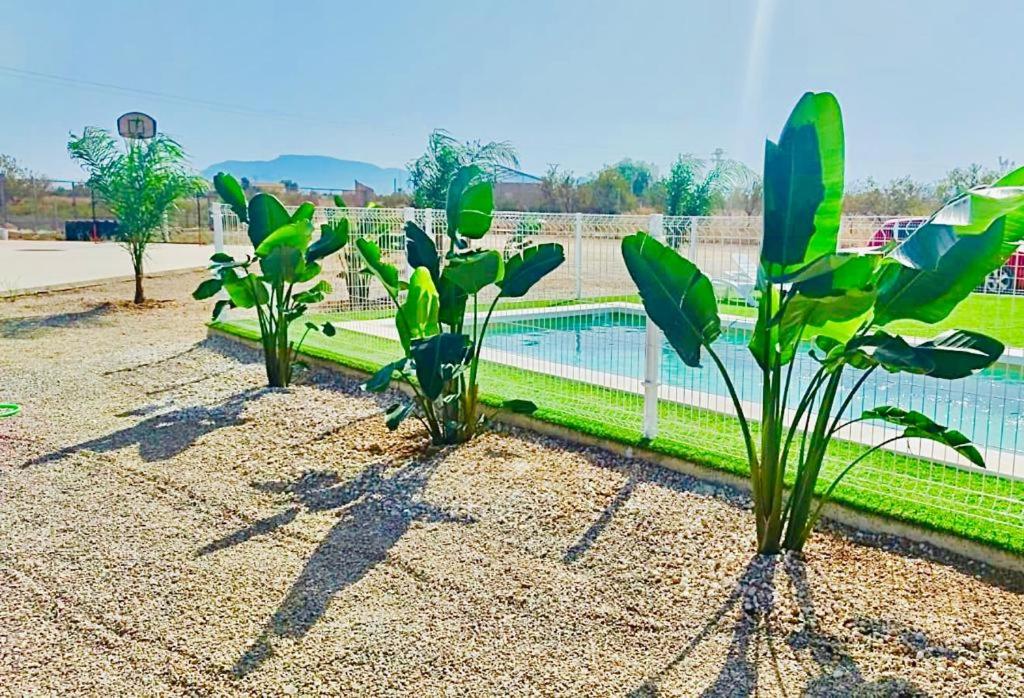 a row of plants in front of a pool at Casa Rural Villa Arizona en Cartagena in Murcia
