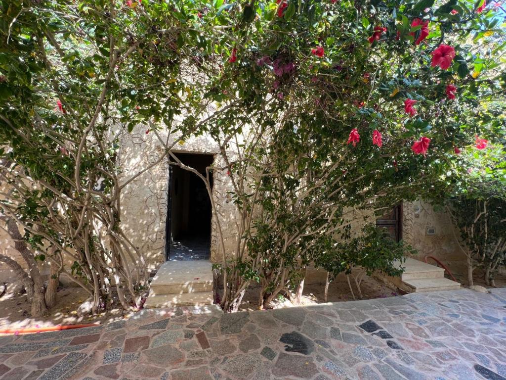 Zahrada ubytování Zad El Mosafer Guest House