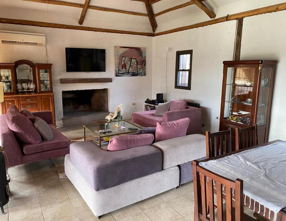 a living room with purple furniture and a fireplace at Olivos de Terrada in Ciudad Lujan de Cuyo