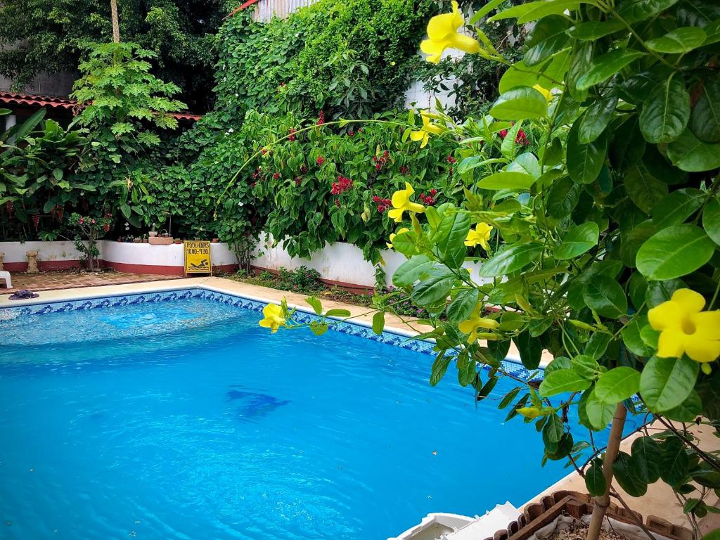 Piscina di Huitzilin Hostal o nelle vicinanze