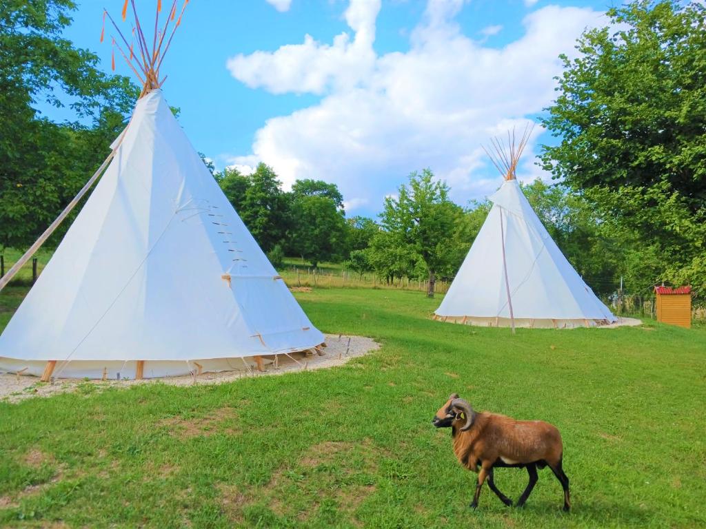 a goat walking in front of two teepees at Le Couche t'Art in Pisseloup