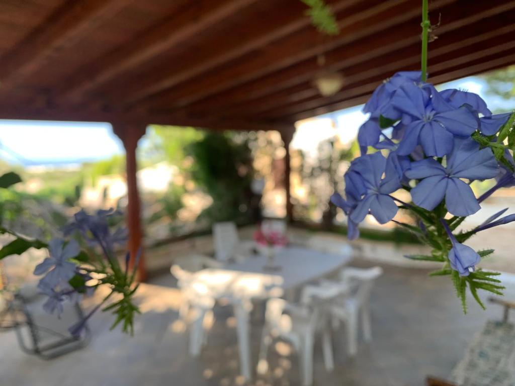 Zahrada ubytování Casa Andrea