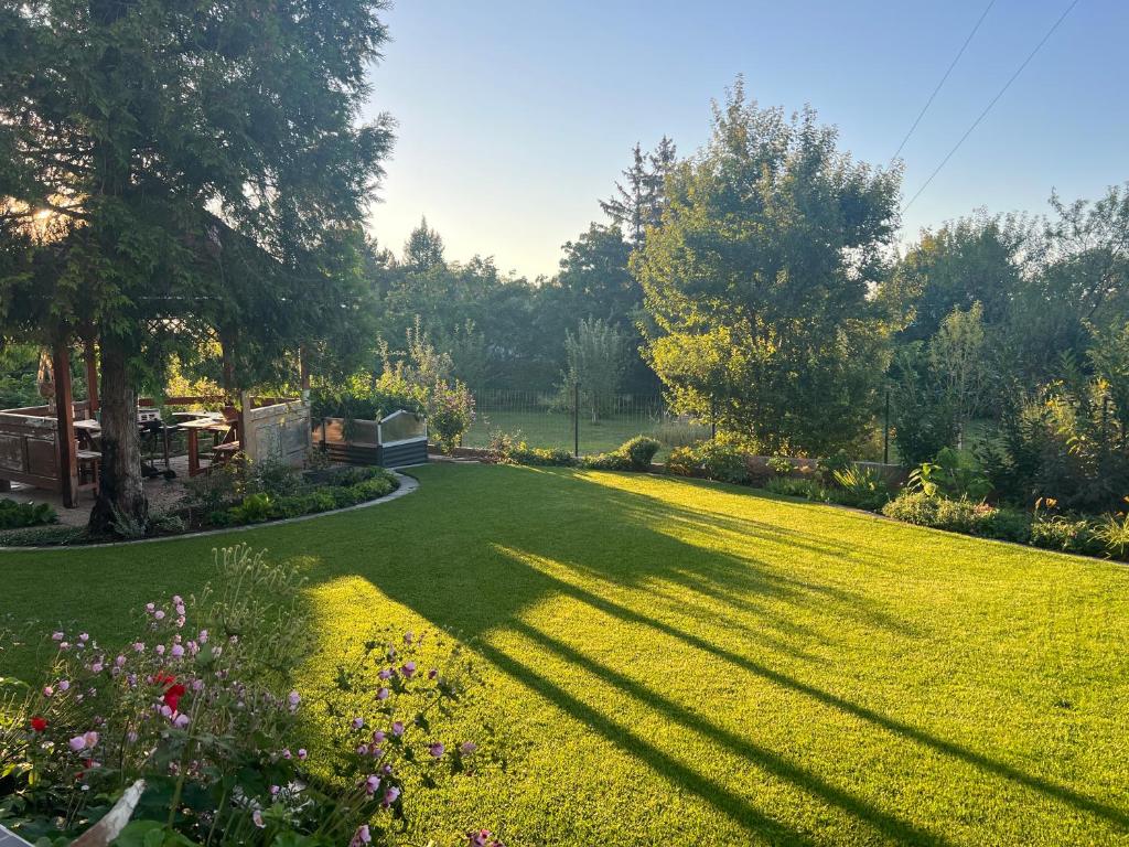 Zahrada ubytování NEON Apartman Csopak Balaton