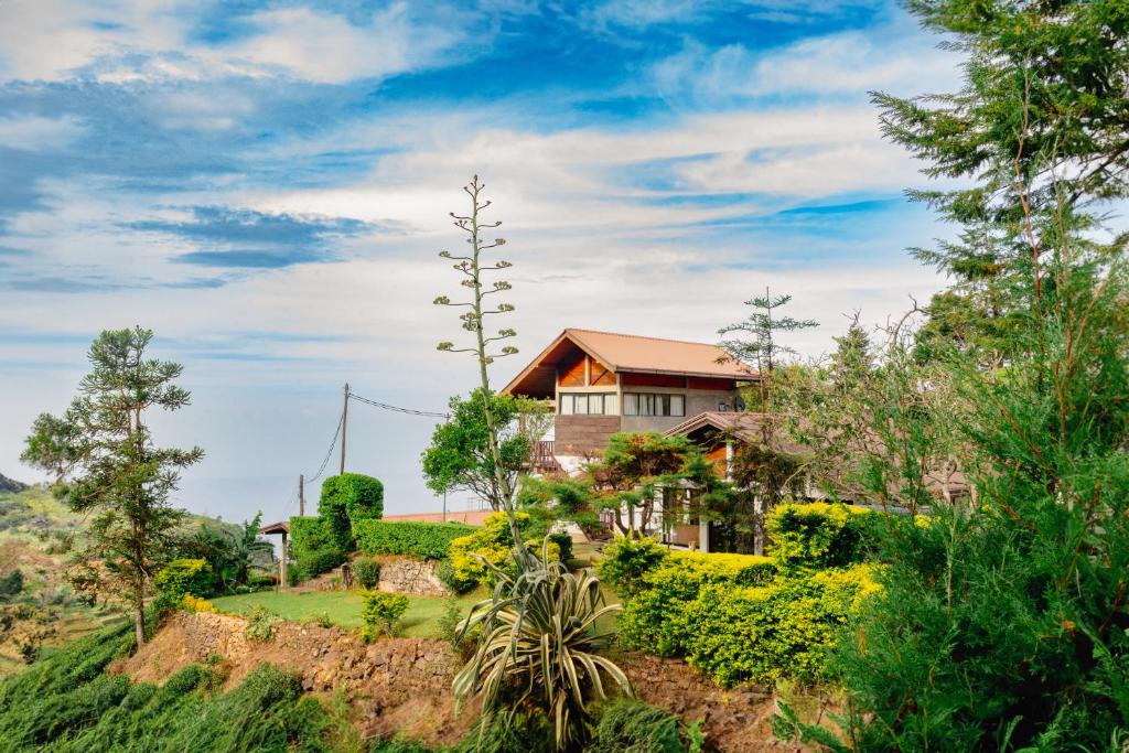 ein Haus auf einem Hügel mit Bäumen in der Unterkunft Hill Safari - Tea Estate Villa in Ohiya