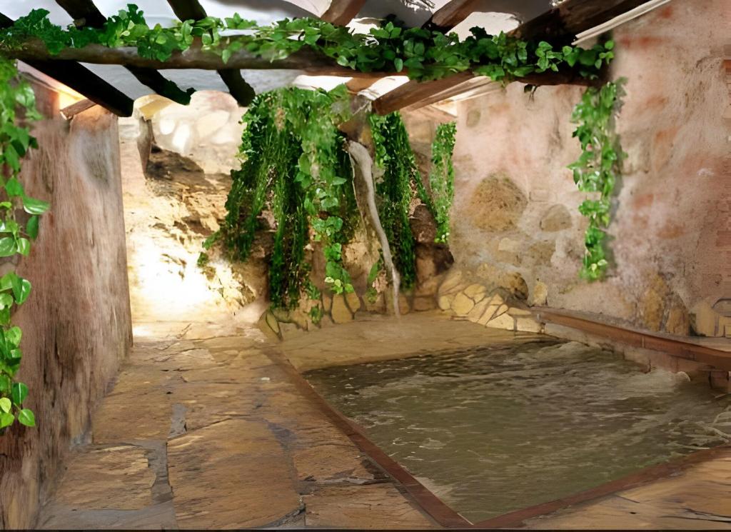 a room with a pool of water and plants at Can Pavet in Pontons