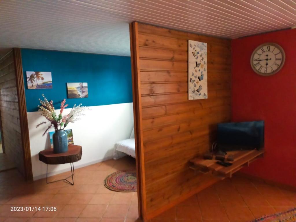 TV a/nebo společenská místnost v ubytování Douceur des Hauteurs bas de villa, piscine privée