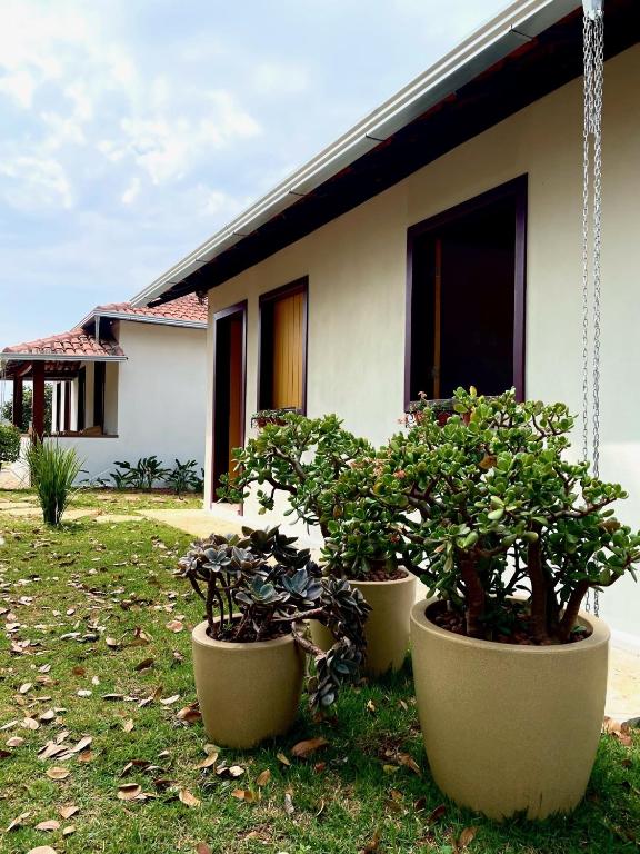 two potted trees sitting in front of a house at Sitio Recanto Maçussa in Ouro Preto