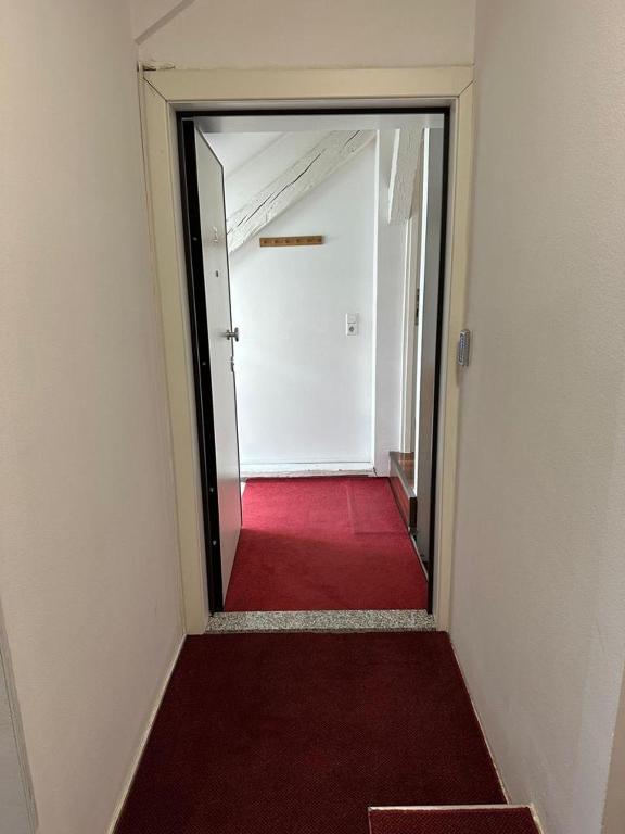 Jacuzzi Apartment - Center Zagreb - 17