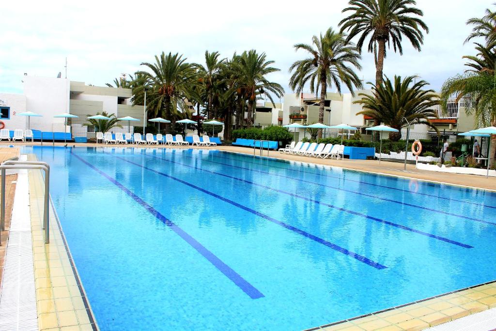 duży basen z krzesłami i palmami w obiekcie Ke Casetta Tenerife w mieście Costa Del Silencio