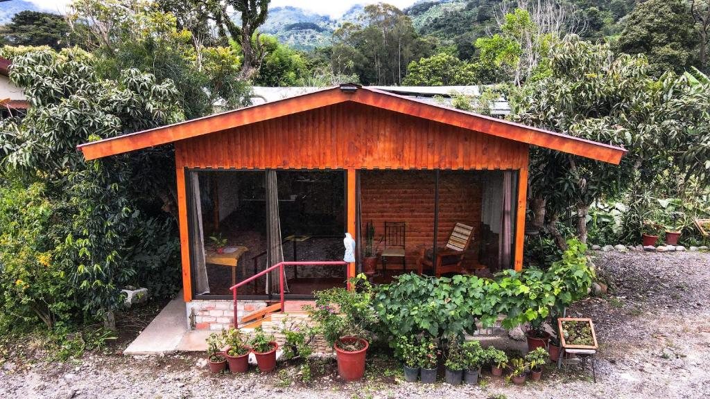 uma pequena cabana com plantas à sua frente em Cozy Woodcabin em Santa María