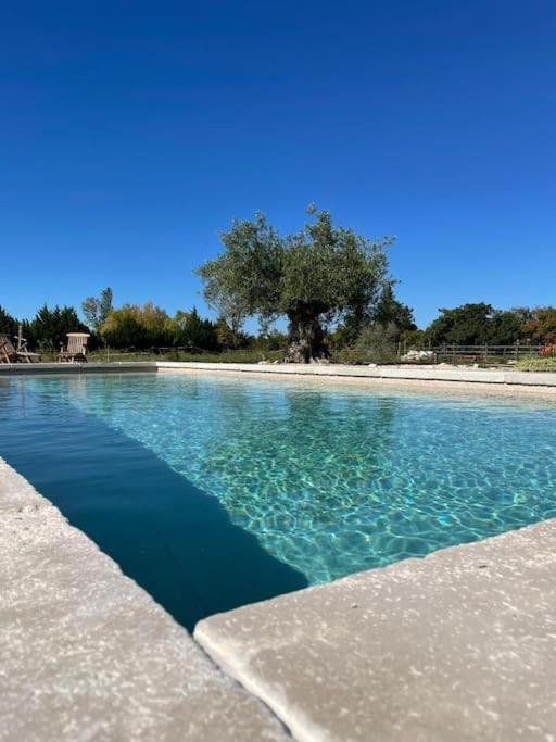 une piscine d'eau bleue claire à côté d'une plage dans l'établissement Mas l Oustau de Memei, à Althen-des-Paluds