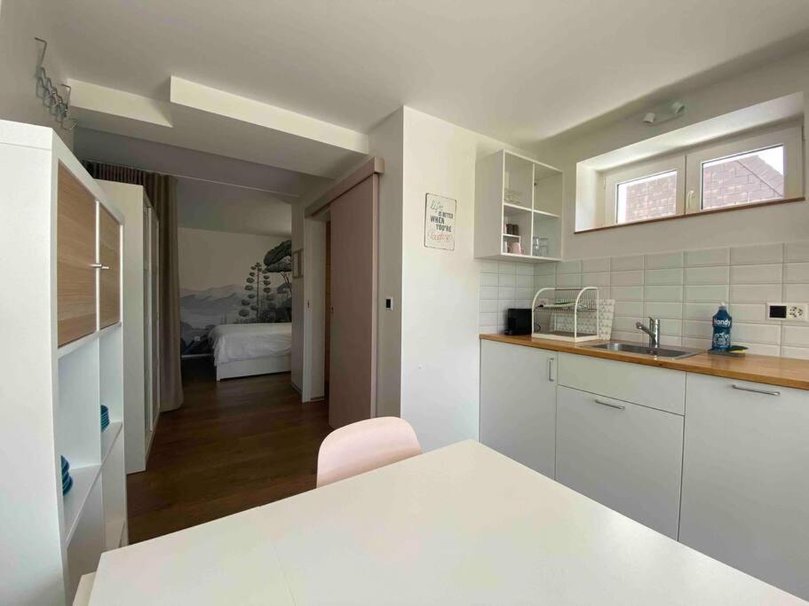 a white kitchen with a sink and a room with a bed at Chaleureux studio entre Neuchatel et Bienne in Le Landeron