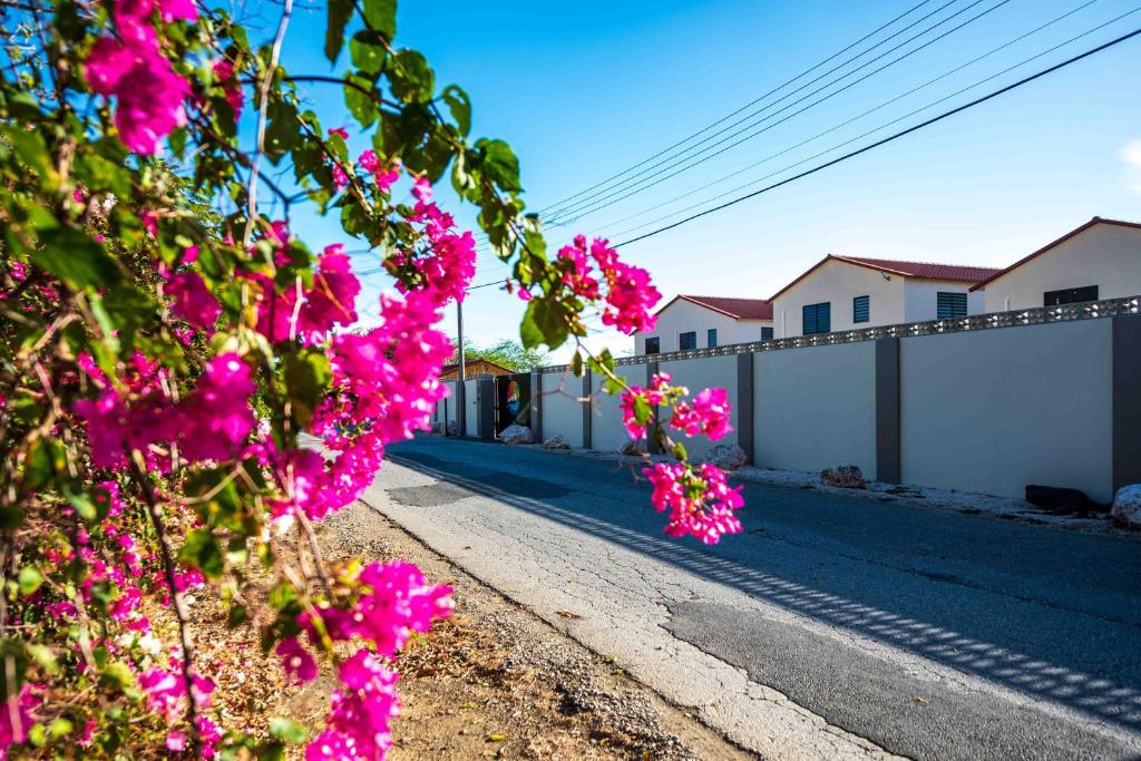 Il quartiere o una zona nella vicinanze dell'aparthotel