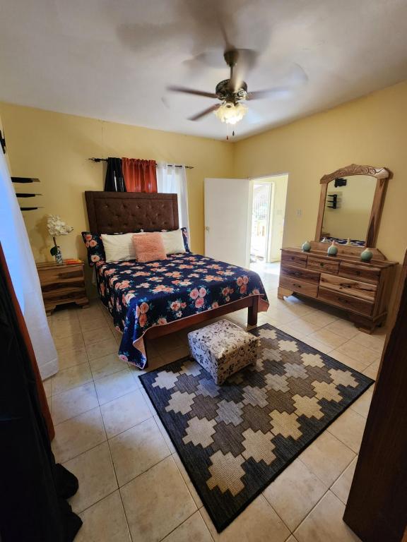 um quarto com uma cama e uma ventoinha de tecto em Single Room on Farcas Drive em Mammee Bay