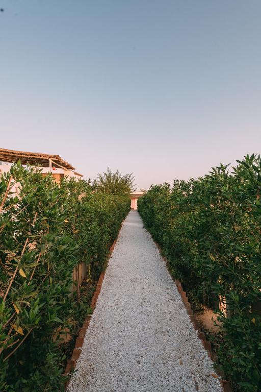 Zahrada ubytování The Luxe Pushkar - A Luxury Farmstay in Pushkar