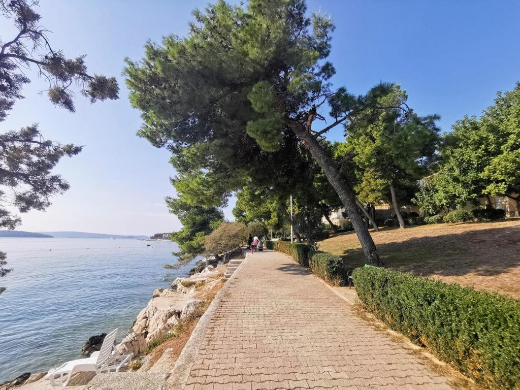 Príroda v okolí apartmánu