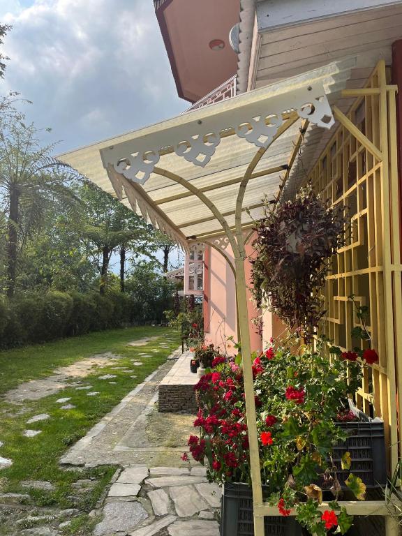 Zahrada ubytování Ifseen Villa