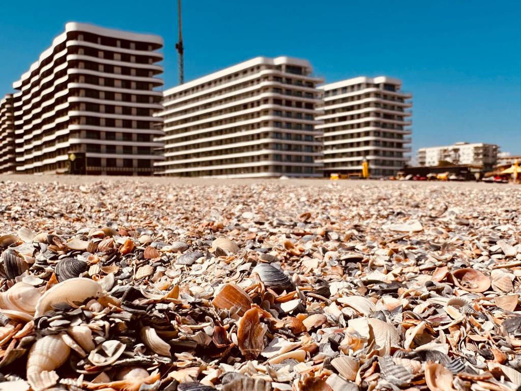 Galeriebild der Unterkunft Blue Luxury Studio in Mamaia