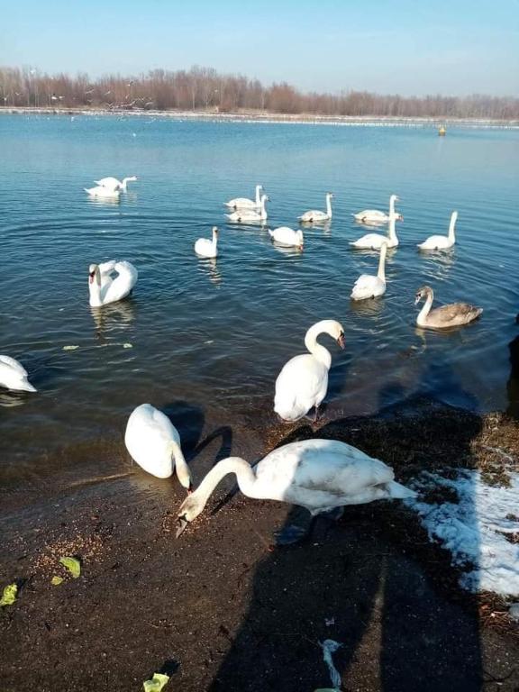 Příroda nedaleko apartmánu