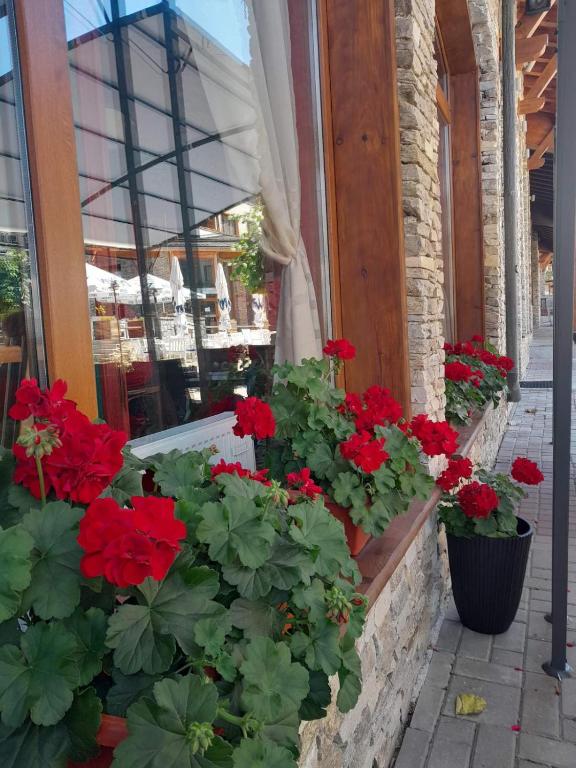 Zahrada ubytování Rustic Spa at Pirin Golf