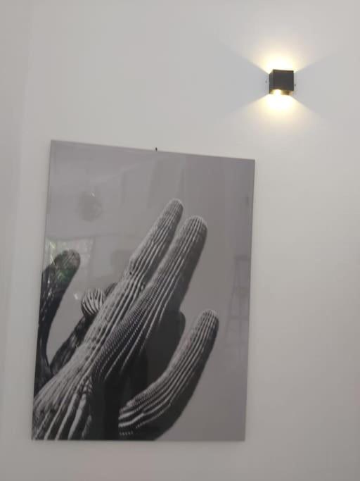 Fotografie z fotogalerie ubytování Totéki v destinaci Willemstad