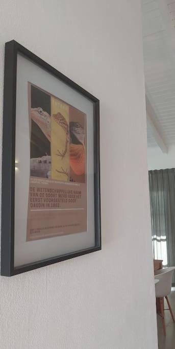 Fotografie z fotogalerie ubytování Totéki v destinaci Willemstad