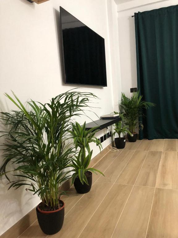 TV a/nebo společenská místnost v ubytování Tu apartamento en vacaciones