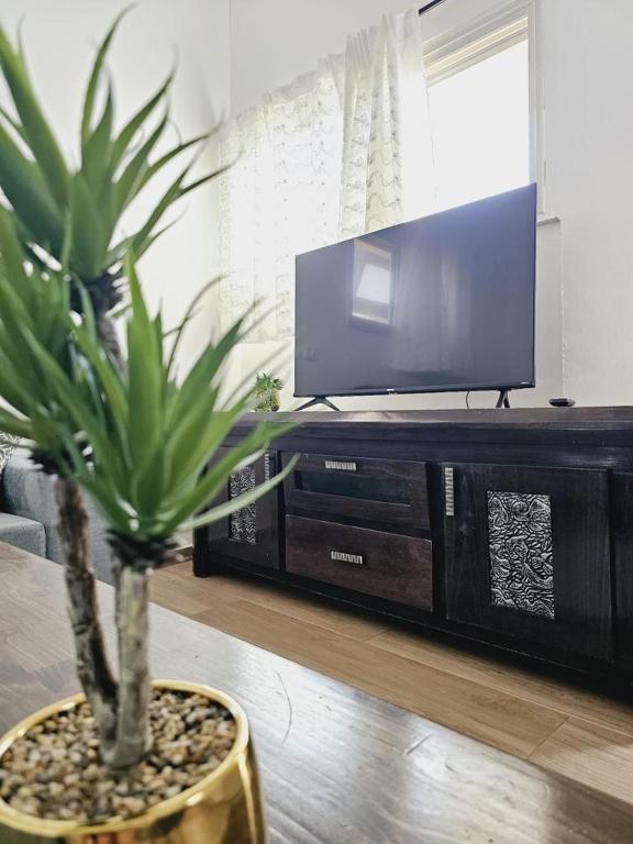 TV a/nebo společenská místnost v ubytování Har-Adir B&B
