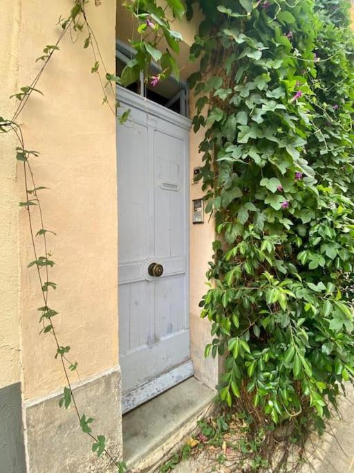 a white door in a building with a plant at Click! Casa Lamartine Fabulous Ideal Location Walk to ALL!!! in Cassis