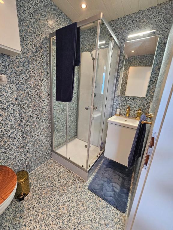 ein Bad mit einer Dusche und einem Waschbecken in der Unterkunft Gästezimmer Schwaz Panorama in Schwaz