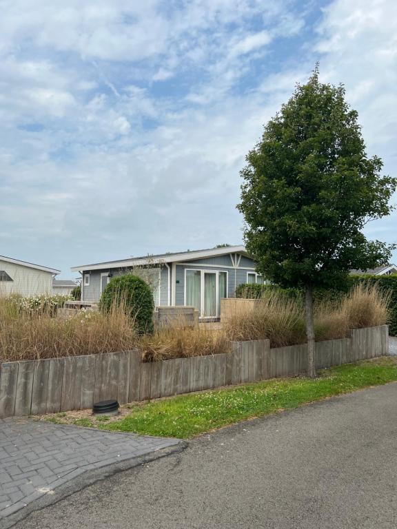 a house with a tree in front of a fence at BLUE BEACH HOUSE in Breskens