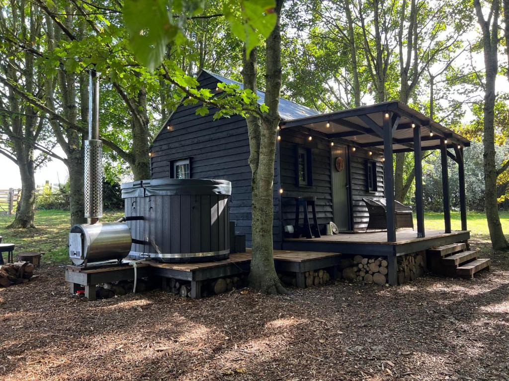 Luxury Woodland Lodge - Chalet
