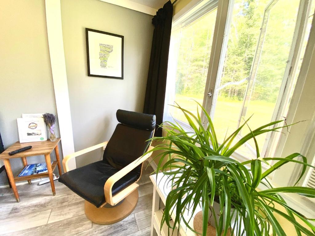 Posezení v ubytování Snowdon Chalet Motel