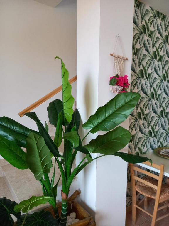 Część wypoczynkowa w obiekcie Aloha Marzamemi Rooms