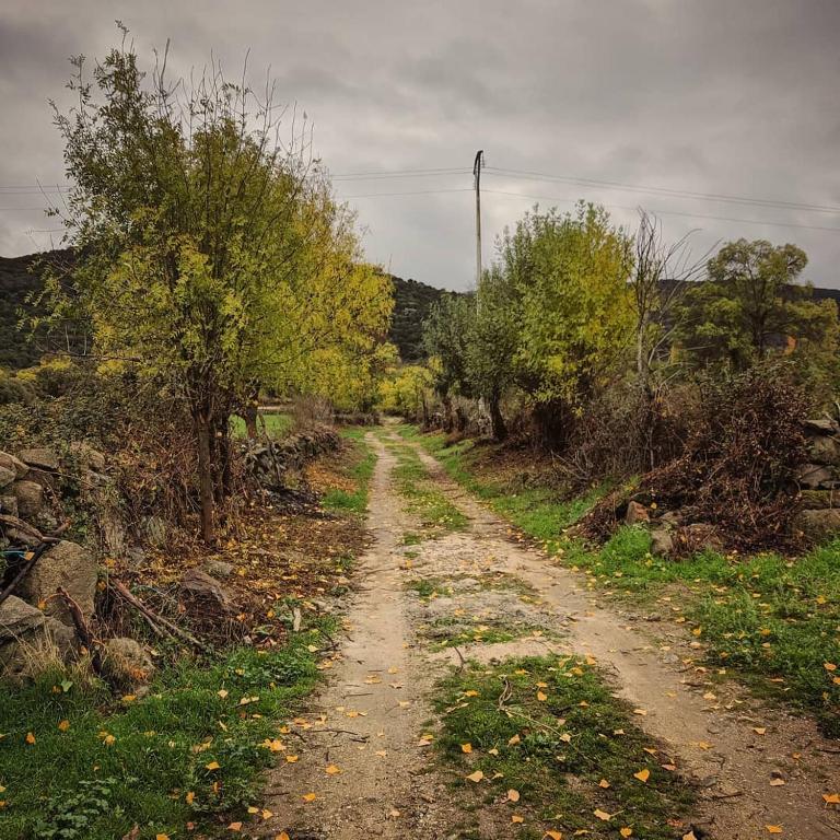 La Candileja - Holiday Home