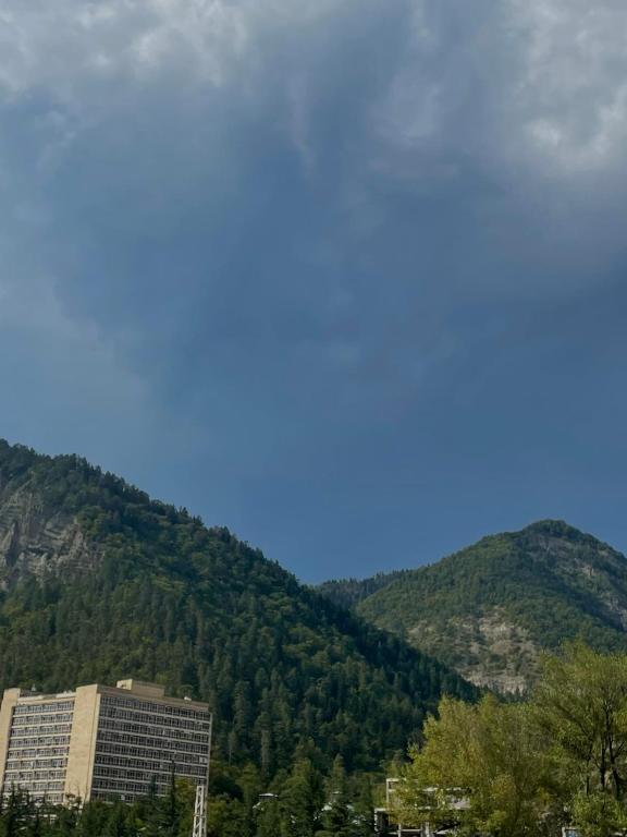 a tall building in front of a mountain at DATI in Borjomi