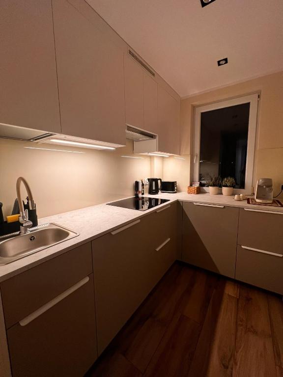 Kuchyň nebo kuchyňský kout v ubytování Apartament Harmony