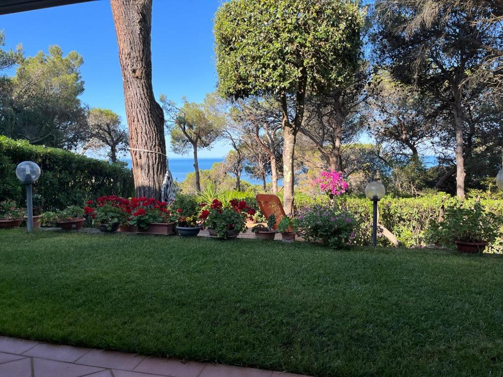 un jardín con flores y plantas en un patio en Casa Quercia, en Quercianella