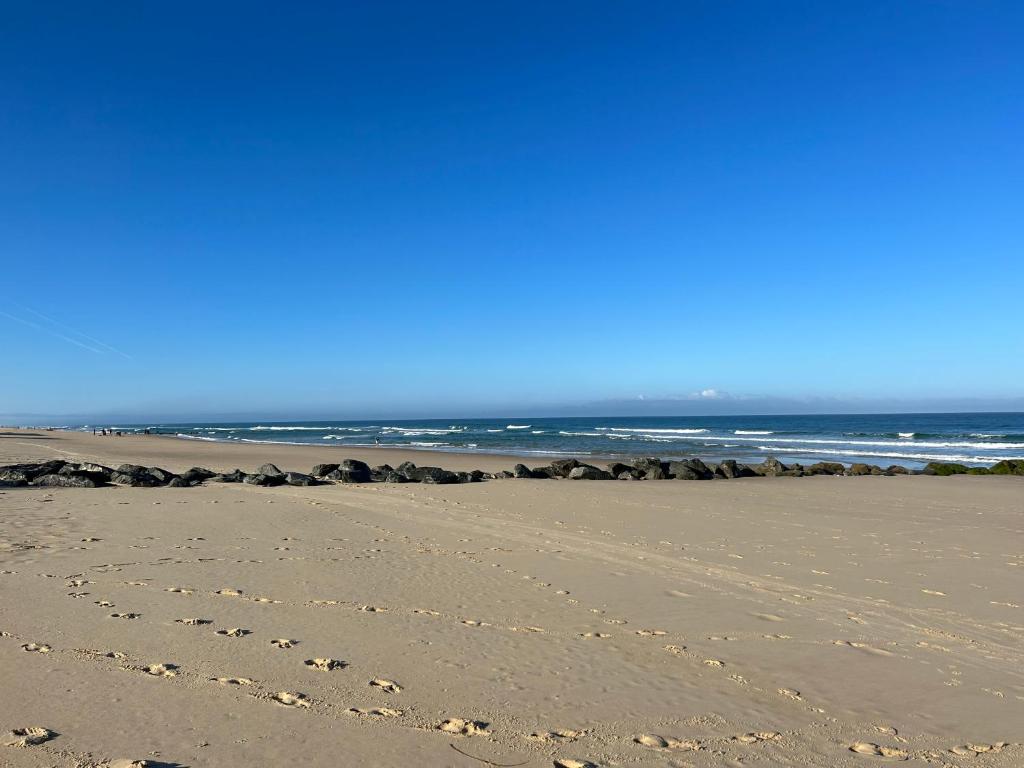 En strand i n&aelig;rheden af lejligheden